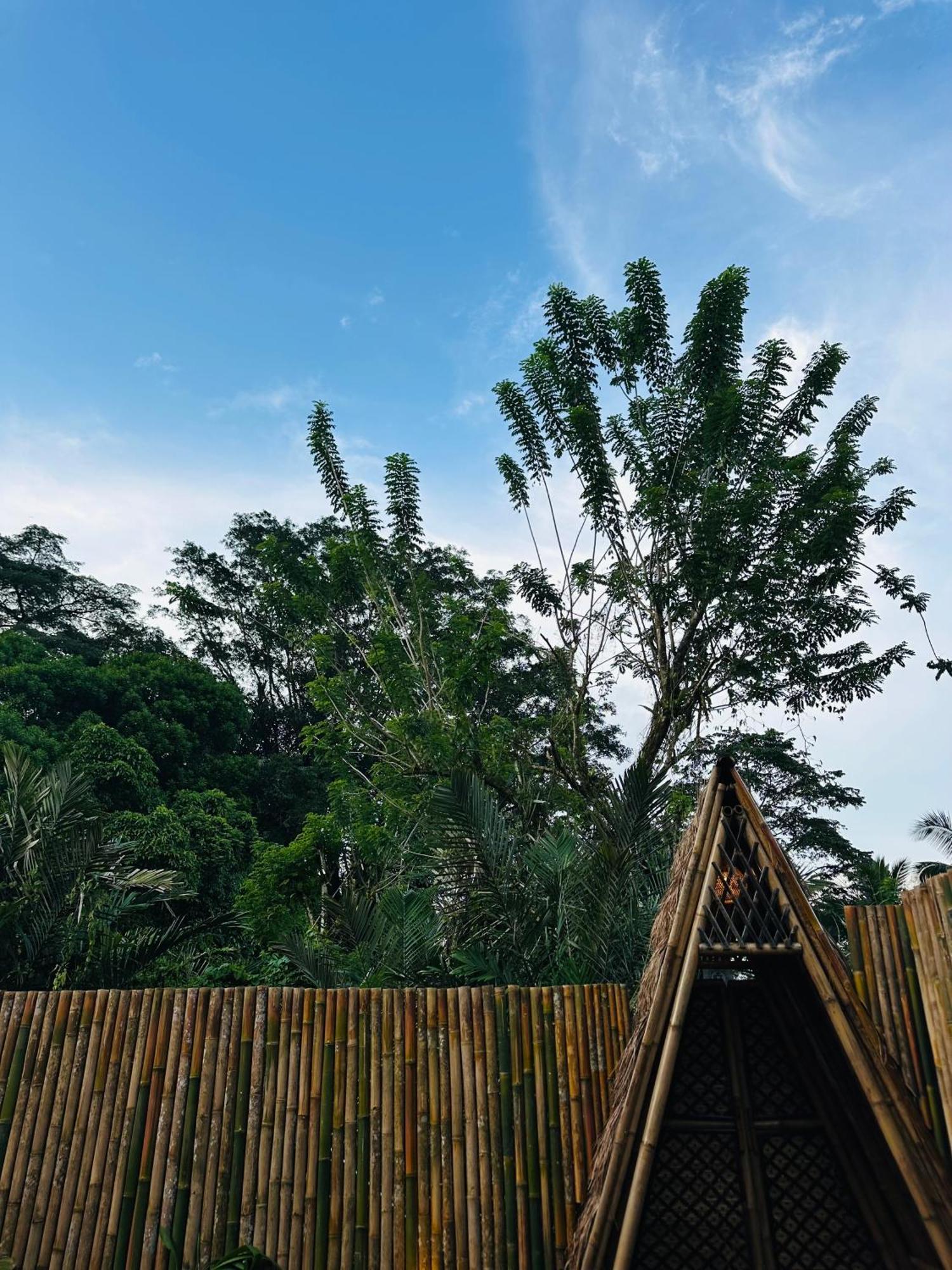 فيلا Bamboo House - Ecobreeze سيديمين المظهر الخارجي الصورة